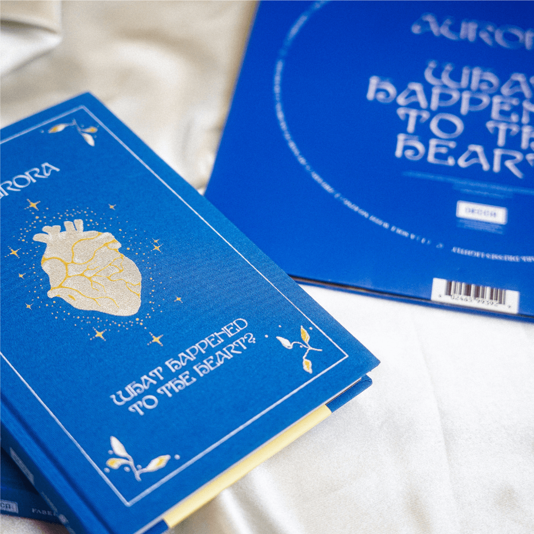 What Happened To The Heart? Book + Vinyl