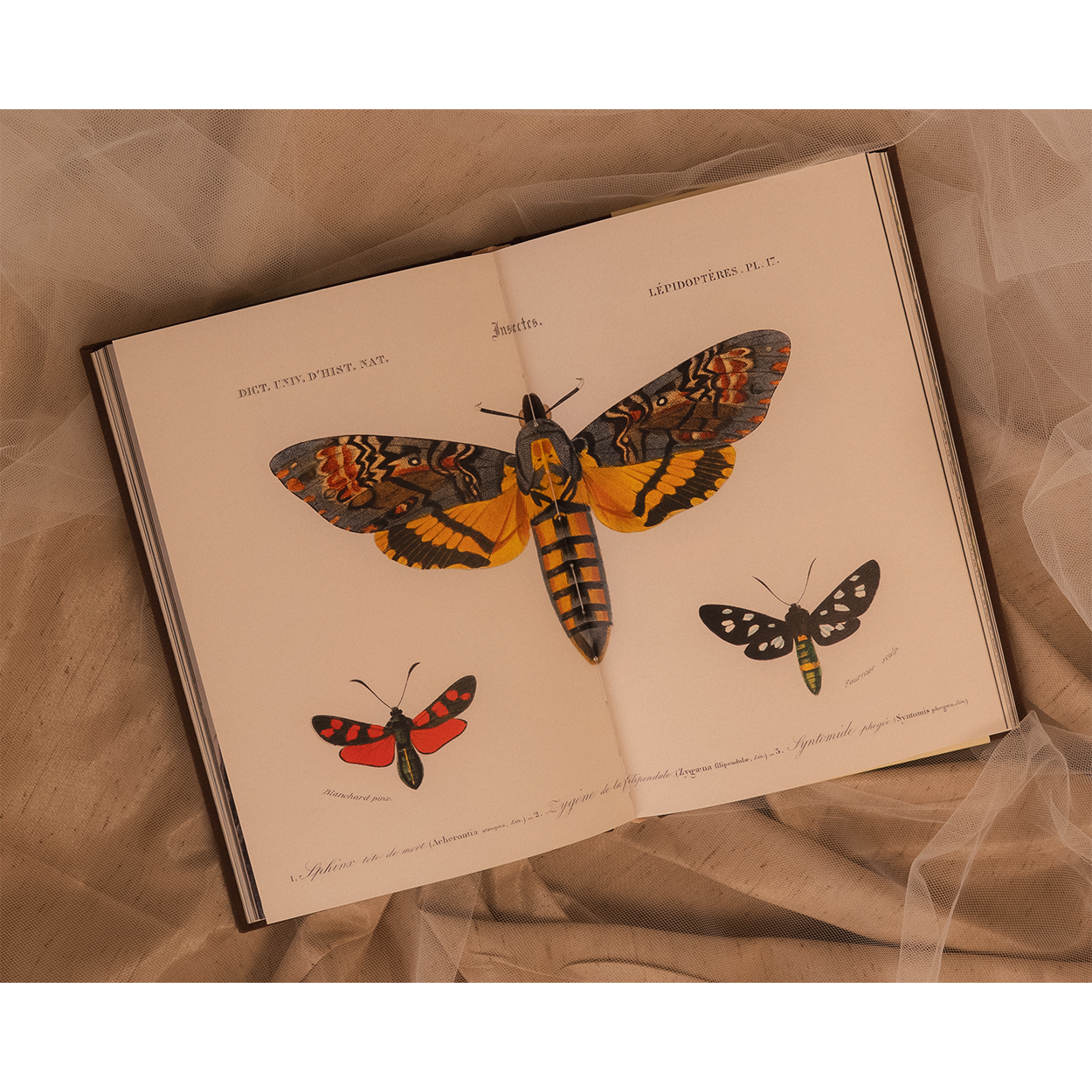 AURORA - All My Demons Greeting Me as a Friend Book (Signed)